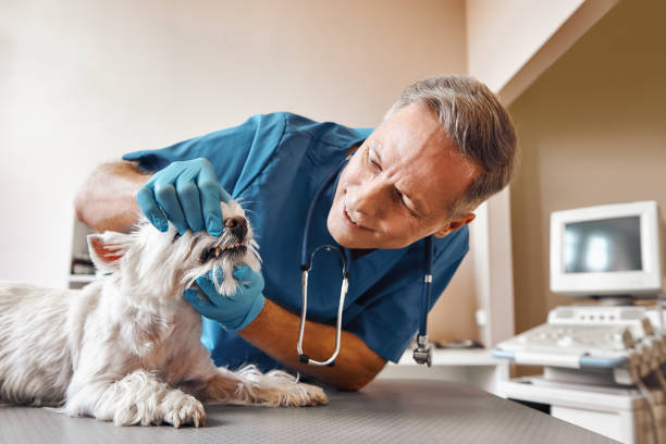 Best Emergency Dental Care for Abscessed Tooth in Glassport, PA